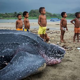 Nine Pieces of Advice for the Community-based Conservationist